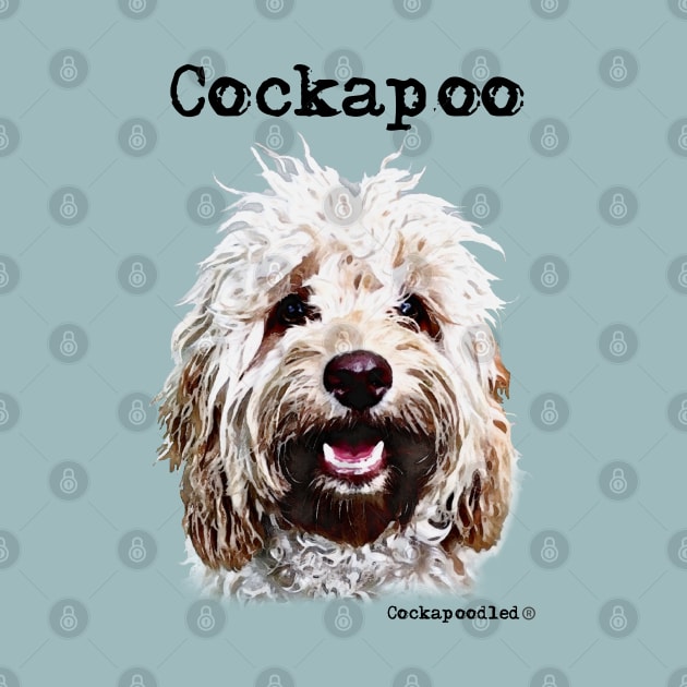 Champagne Blonde Cockapoo / Spoodle and Doodle Dog by WoofnDoodle 