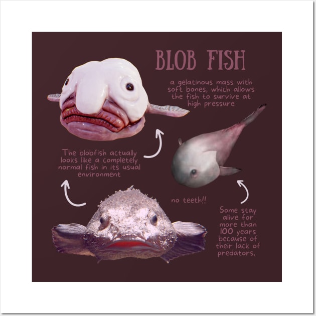 Photos: Gelatinous Blobfish in danger