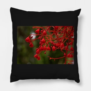 Lanzarote Pillow