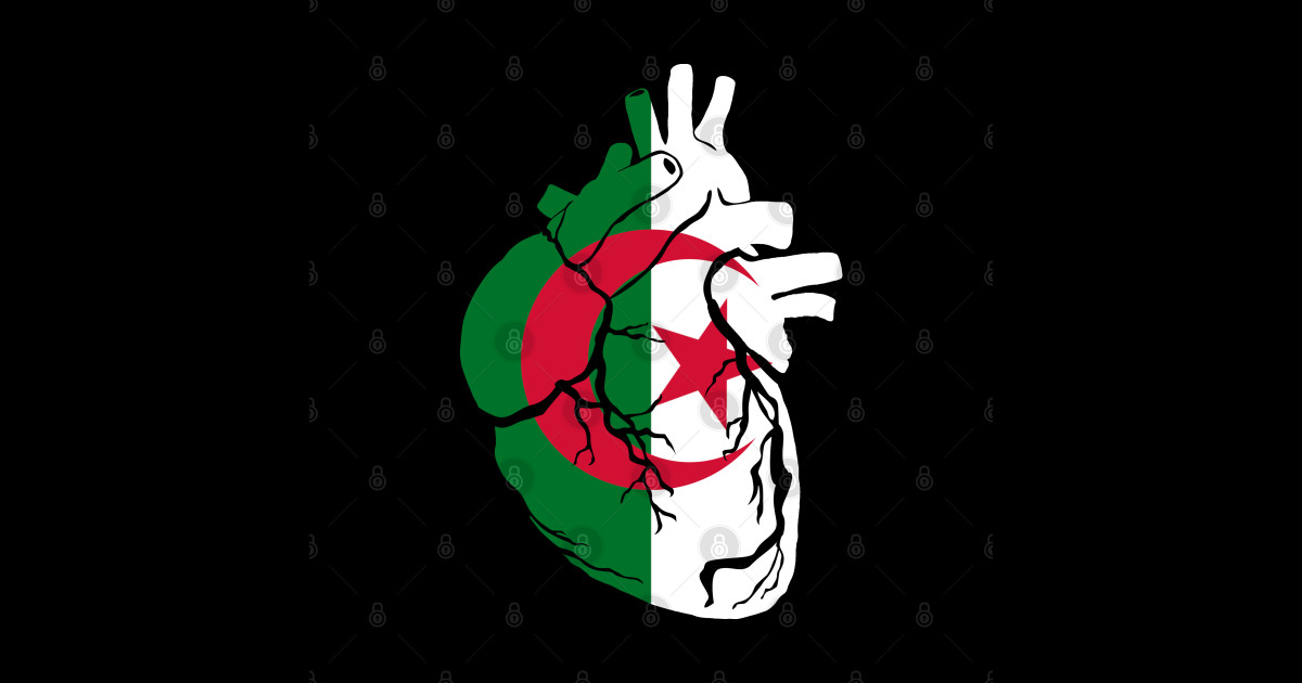Anatomical heart design, Algeria flag - Algerian Flag - Sticker | TeePublic
