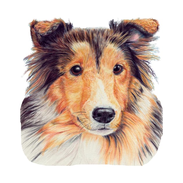 Shetland sheepdog  cp by doggyshop