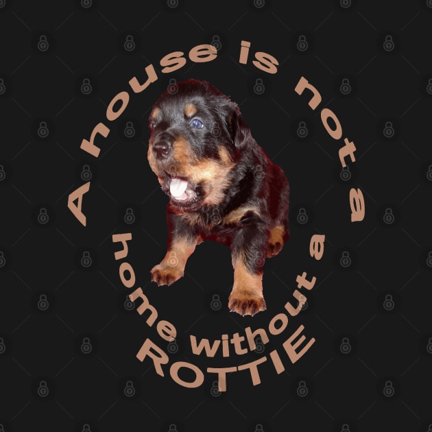 A House Is Not A Home Without A Cute Rottweiler by taiche