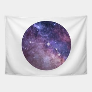 Aries Sign in the Dark Pink Starry Night Sky Tapestry