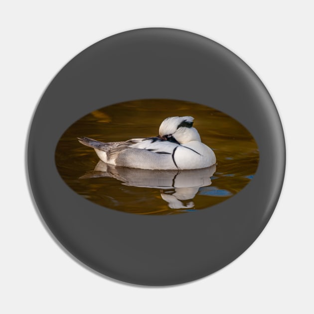 Smew Pin by dalyndigaital2@gmail.com