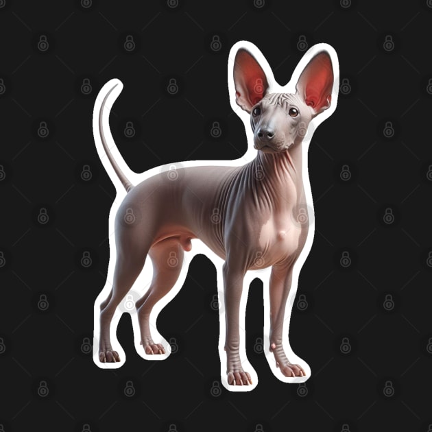 American Hairless Terrier by millersye