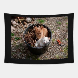 Two Cats in Garden Tub Tapestry