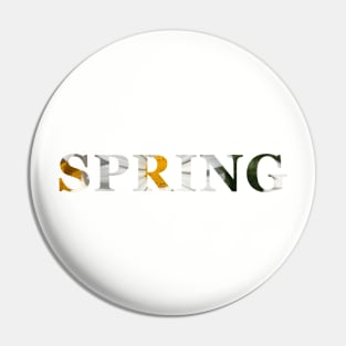 spring Pin