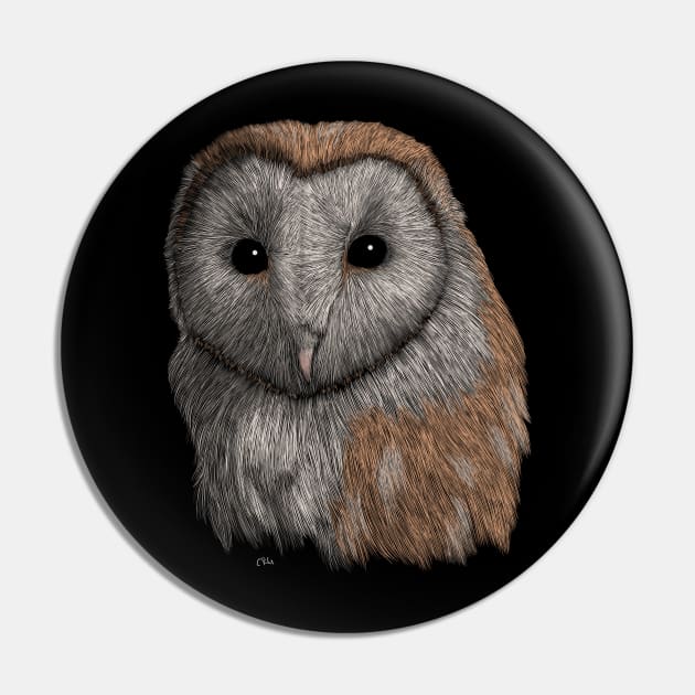 Barn Owl Pin by Walking in Nature