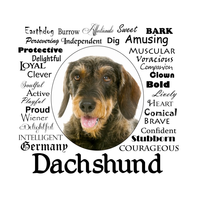 Wirehaired Dachshund by You Had Me At Woof