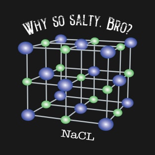 Why So Salty, Bro? T-Shirt