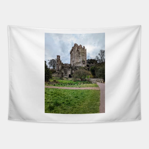 The Blarney Castle, Blarney, Ireland Tapestry by irishmurr