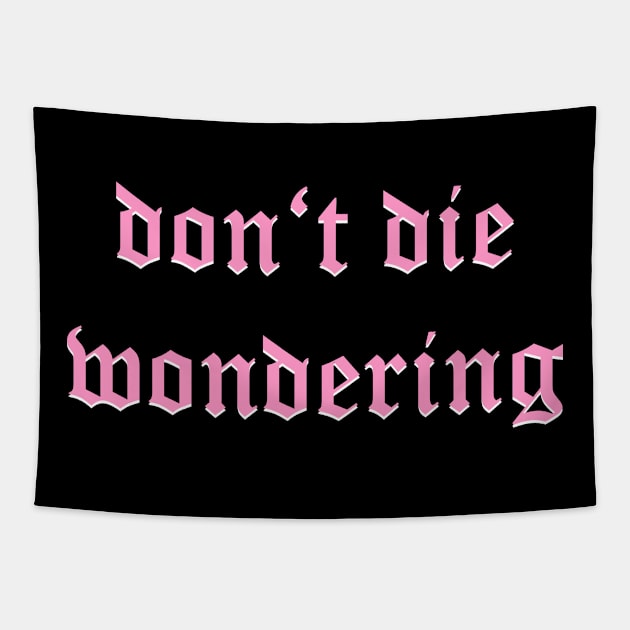 Don't Die Wondering Fraktur (Pink) Tapestry by Graograman