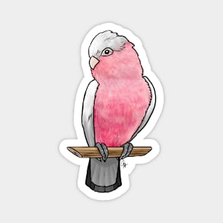 Bird - Rose-Breasted Cockatoo - Crest Down Magnet