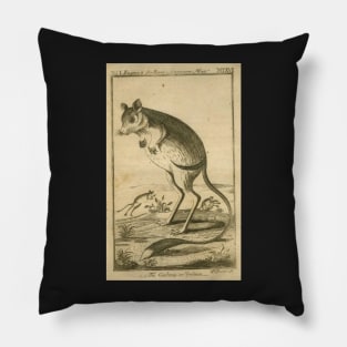 geruba - Paul Revere Pillow