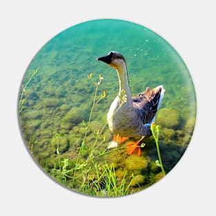 View from Santarelli lakes with a goose walking on some rocks in the aquamarine lake with fresh greenery Pin