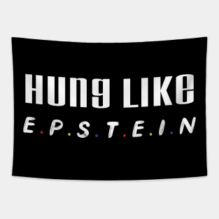 Hung Like Epstein Funny Cool Gift Tapestry