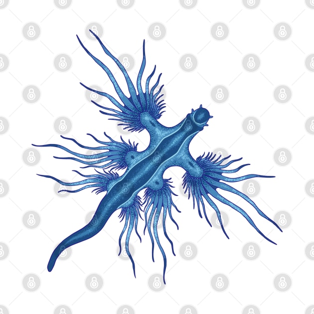 Drawing of a Glaucus Atlanticus by Modern Medieval Design