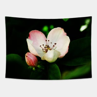 Quince Pink Flower and Bud Tapestry