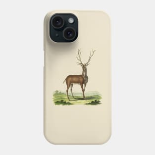 Deer Nature Illustration Phone Case