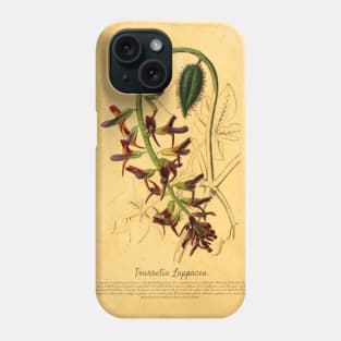 Tourretia Lappacea With Details Phone Case