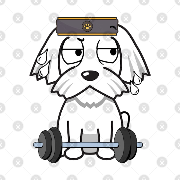 Cute white dog is exercising by Pet Station