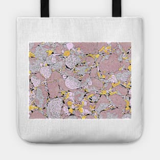 Salmon Stones Tote