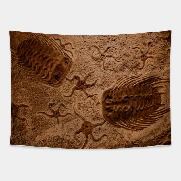 Fossil Tapestry by Wolf Art / Swiss Artwork Photography