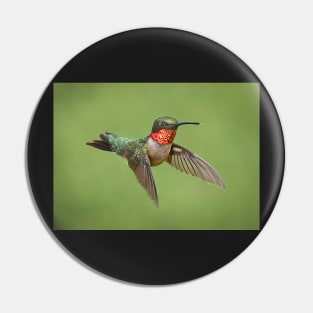 Ruby Throated Hummingbird Male Pin