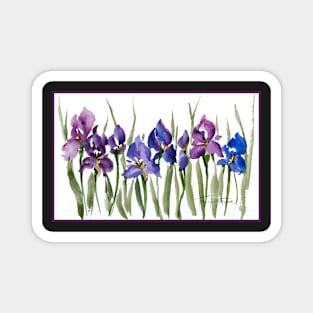 French Iris Watercolor Purple Magnet