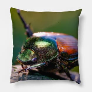 Beetle Yoga. Japanese Scarab Beetle Macro Photograph Pillow