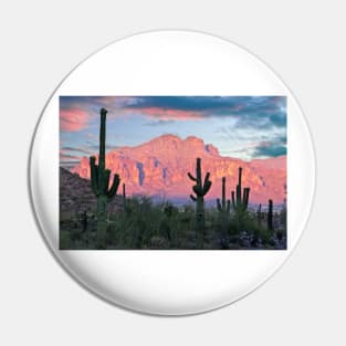 Cactus Sunset Pin