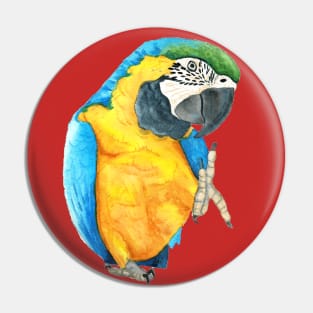 Blue and Glod macaw - watercolor parrot Pin