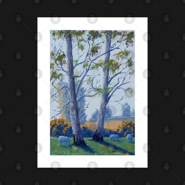 Gum Trees in the Afternoon - Oil on Board by pops