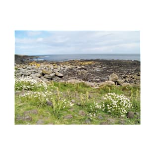 Northern Ireland's Giant Causeway Landscape T-Shirt