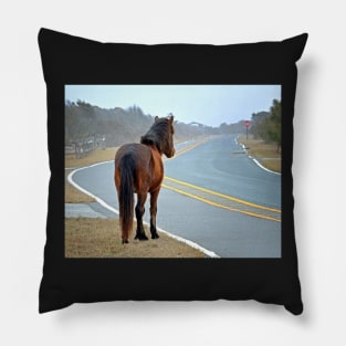 Assateague Pony Looking Down the Road Pillow