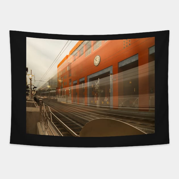 Del Mar In Motion Tapestry by MCHerdering