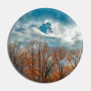 Beautiful golden trees against a blue sky Pin