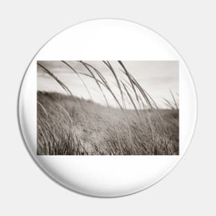 Abstract sepia toned effect Marram grass blowing in wind.  imagine this on a  card or gracing your room as wall art fine art canvas or framed print on your wall Pin