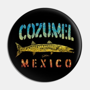 Cozumel, Mexico, Great Barracuda Pin