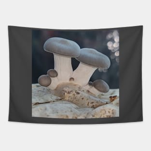 New Pearl Oyster Mushrooms Tapestry