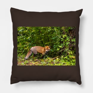 A pleasant encounter on Mount Olympus Pillow