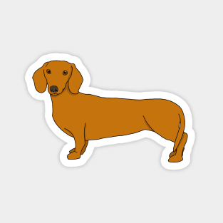 dachshund Magnet