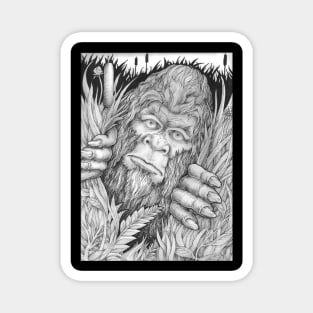 Bigfoot, Sasquatch, cryptid, cryptozoology, big foot Magnet