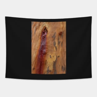 Bark KCNP03 Tapestry