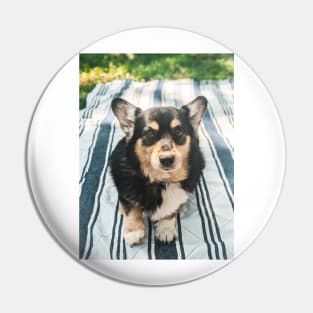 Corgi girl Pin