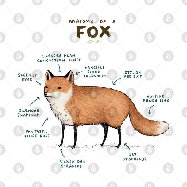 Anatomy of a Fox by Sophie Corrigan