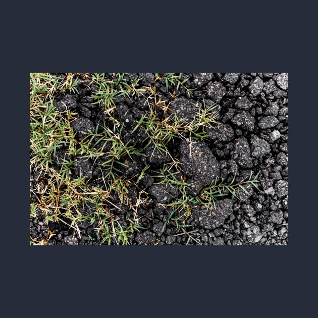 Green Grass Growing On Black Stones - Alternative by textural