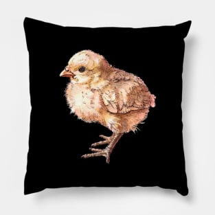 Baby Chick Pillow