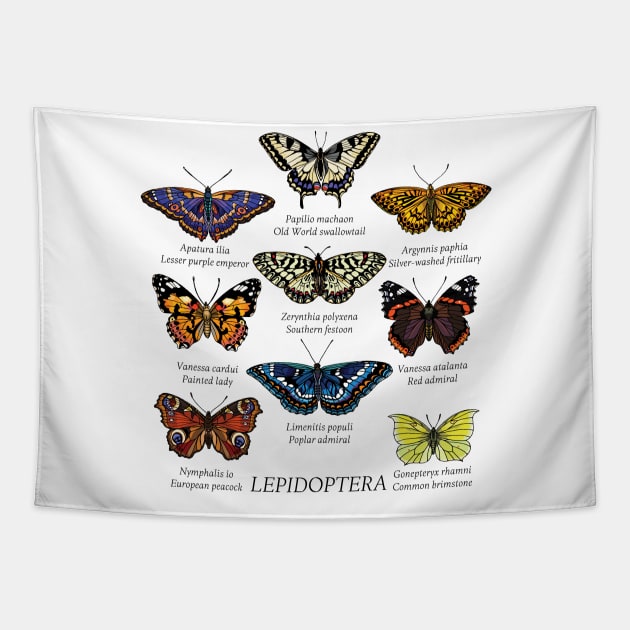 Butterfly species 2. Tapestry by kataszep