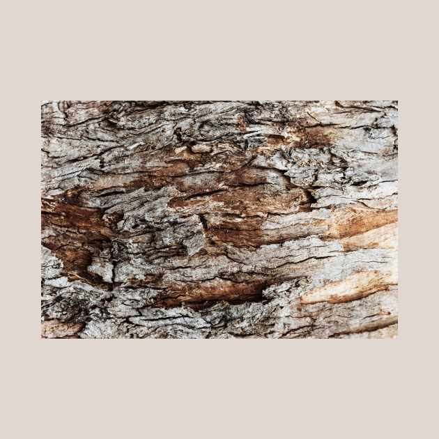 Rustic Orange & Brown Tree Trunk - Alternative by textural